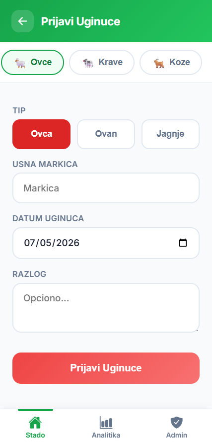 Uginuca
